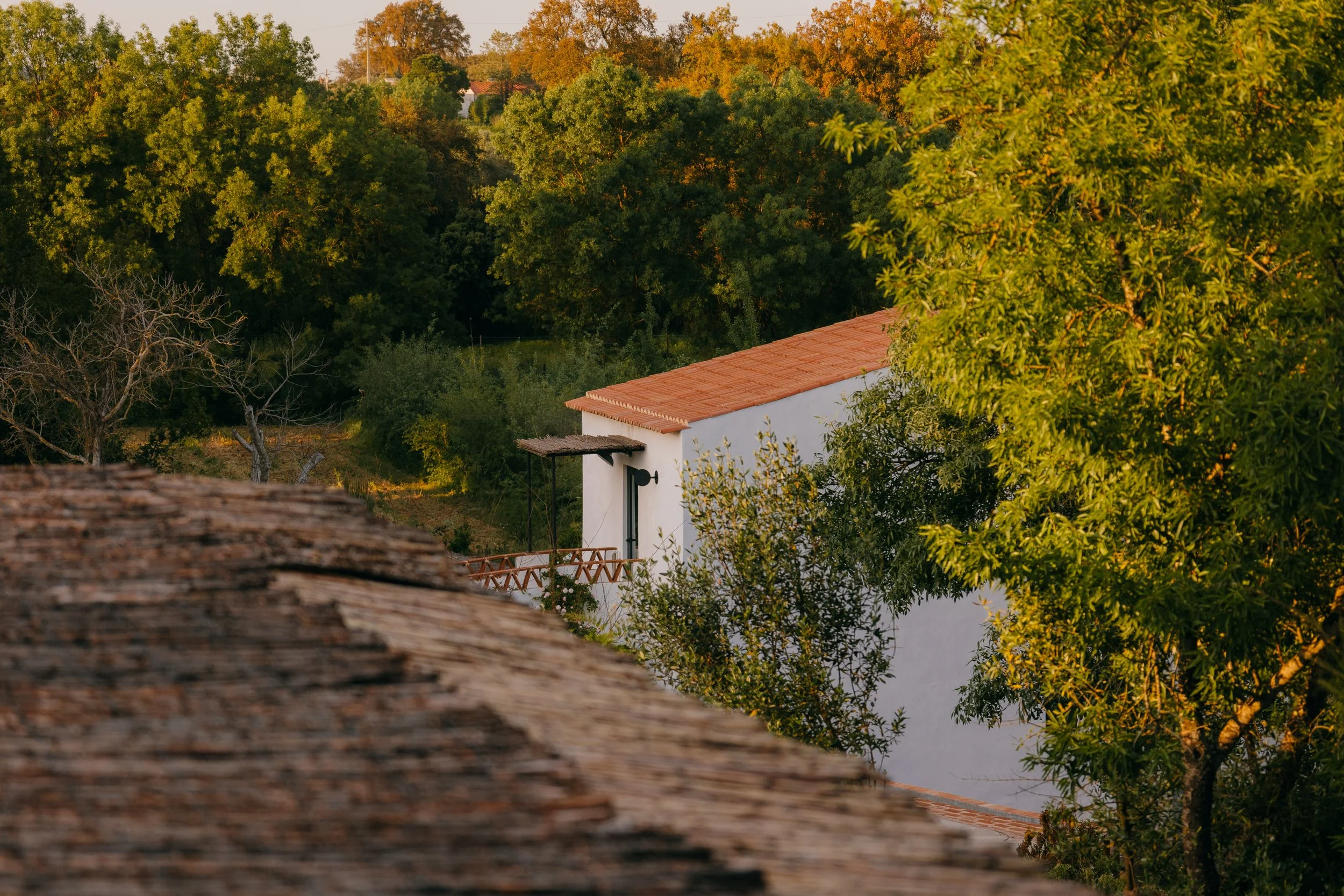 Preparar o futuro com os pés no presente