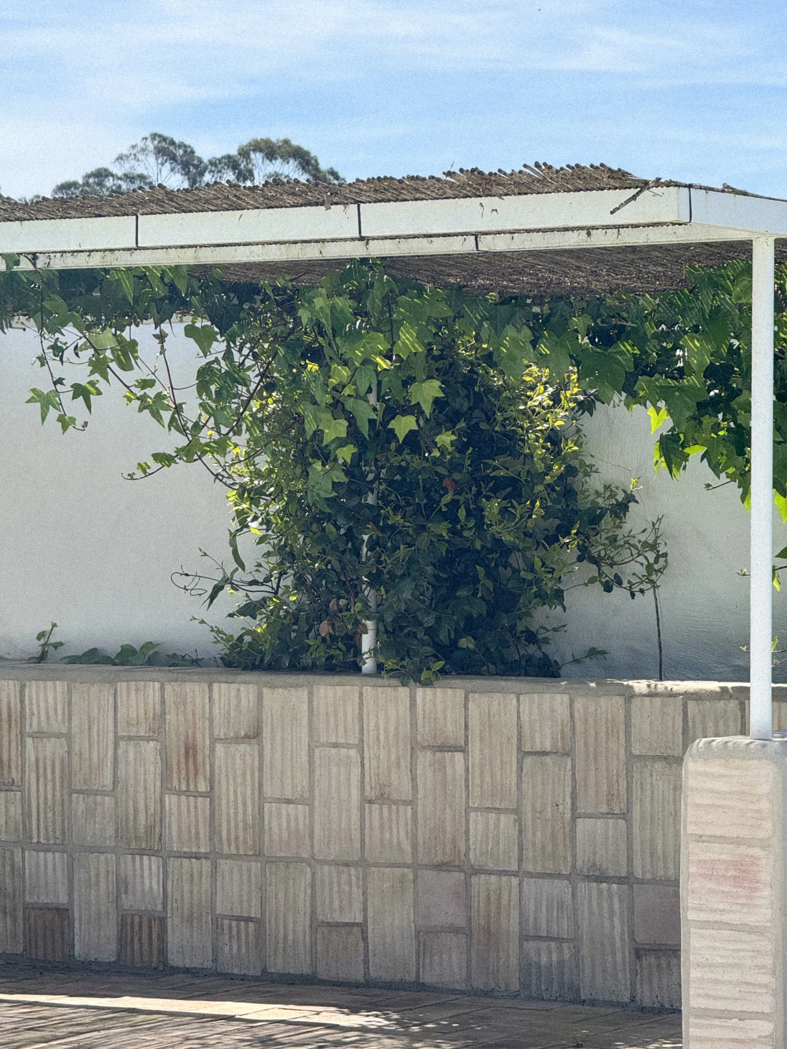 Piscina 8.jpg
