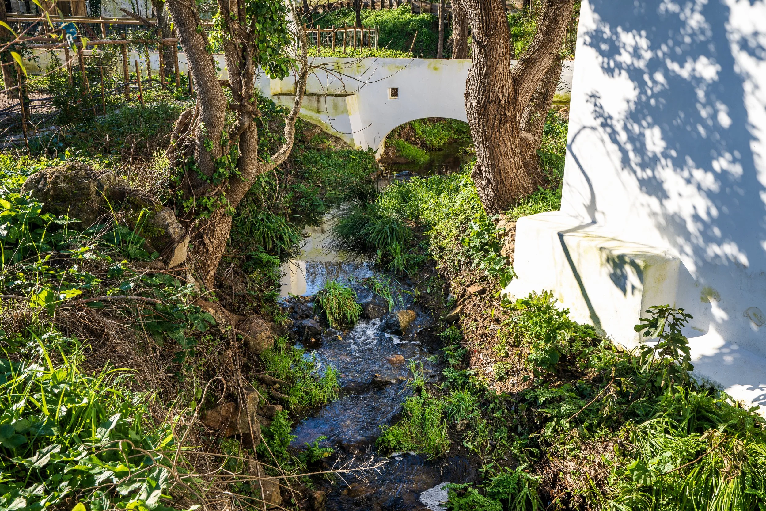 ÁGUA REUTILIZADA: eficiência hídrica que mantém tudo a funcionar no pico do verão