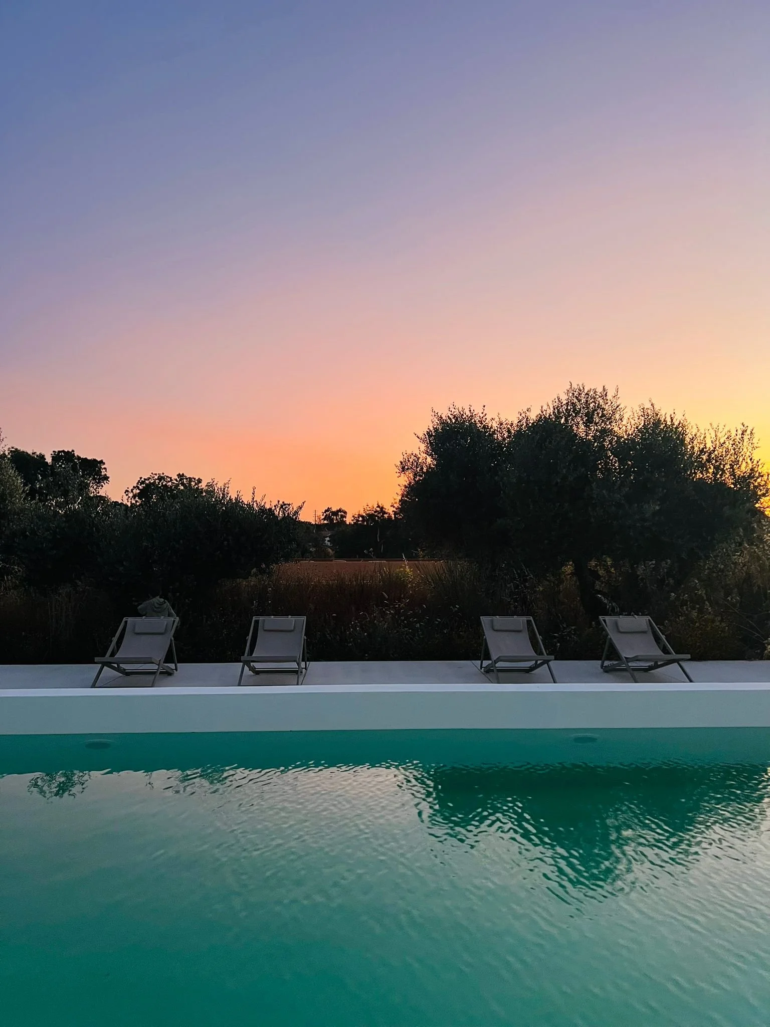 WhatsApp Image 2025-07-10 at 16.06.34.jpeg