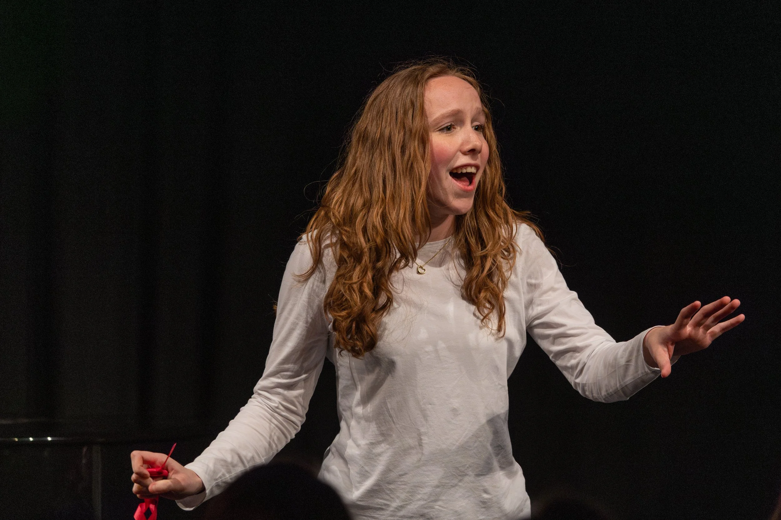 Opera in Practice 27.jpg