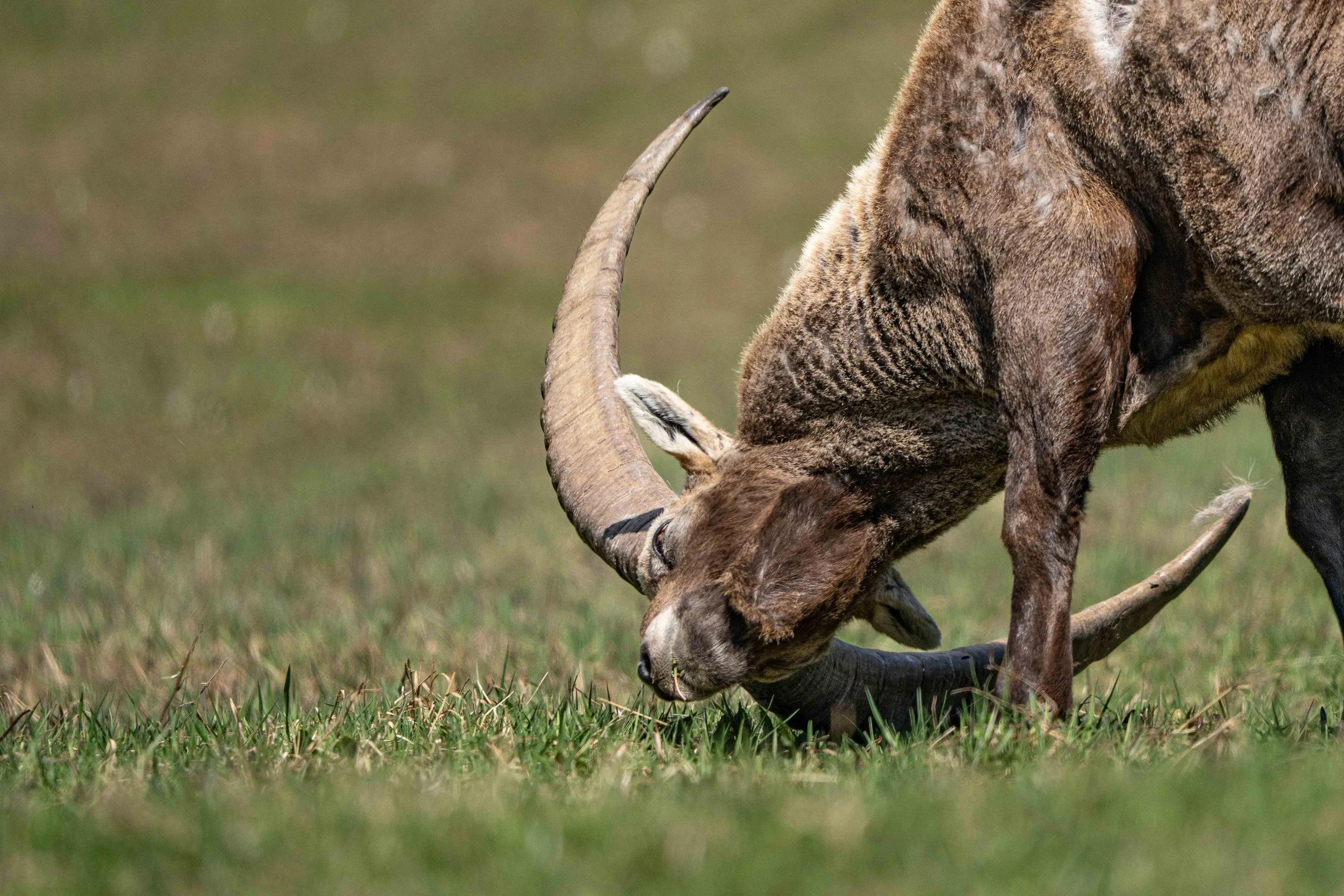 _A7R1024-3.jpg