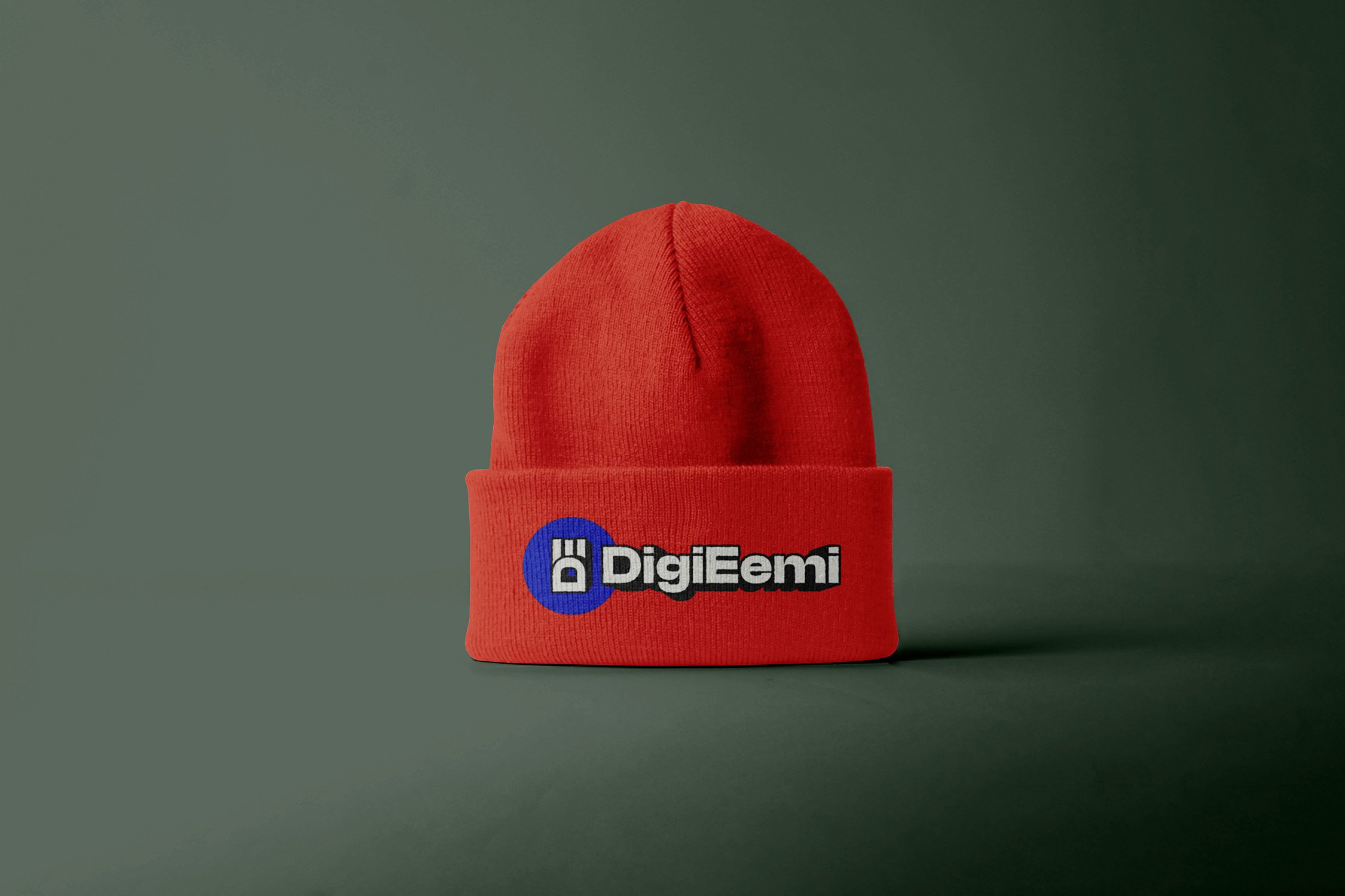 Pipo DigiEemin logolla