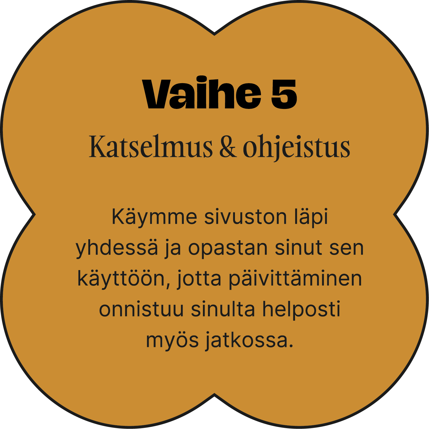 vaihe 5: Katselmus & ohjeistus; käydään sivusto yhdessä läpi