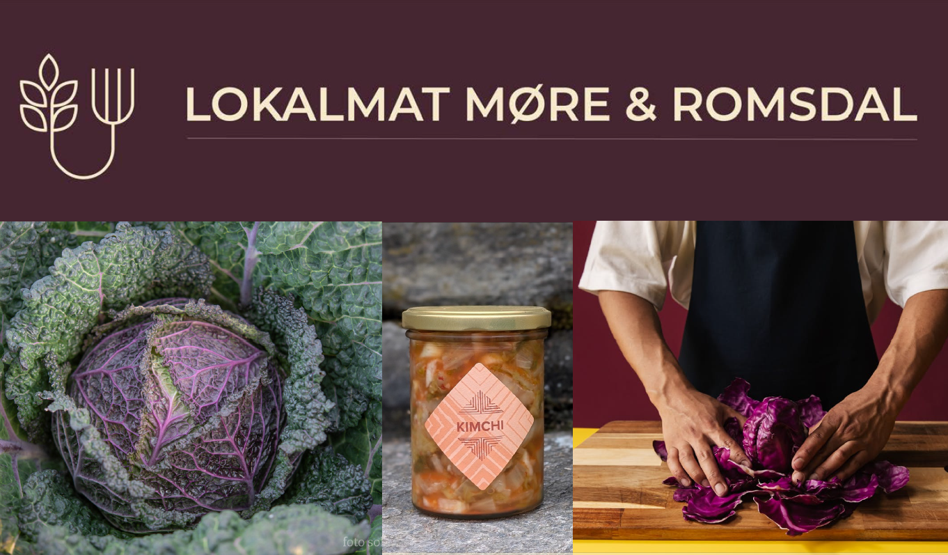Webinar: Økologisk kål - dyrking, produktutvikling og lokal verdiskaping