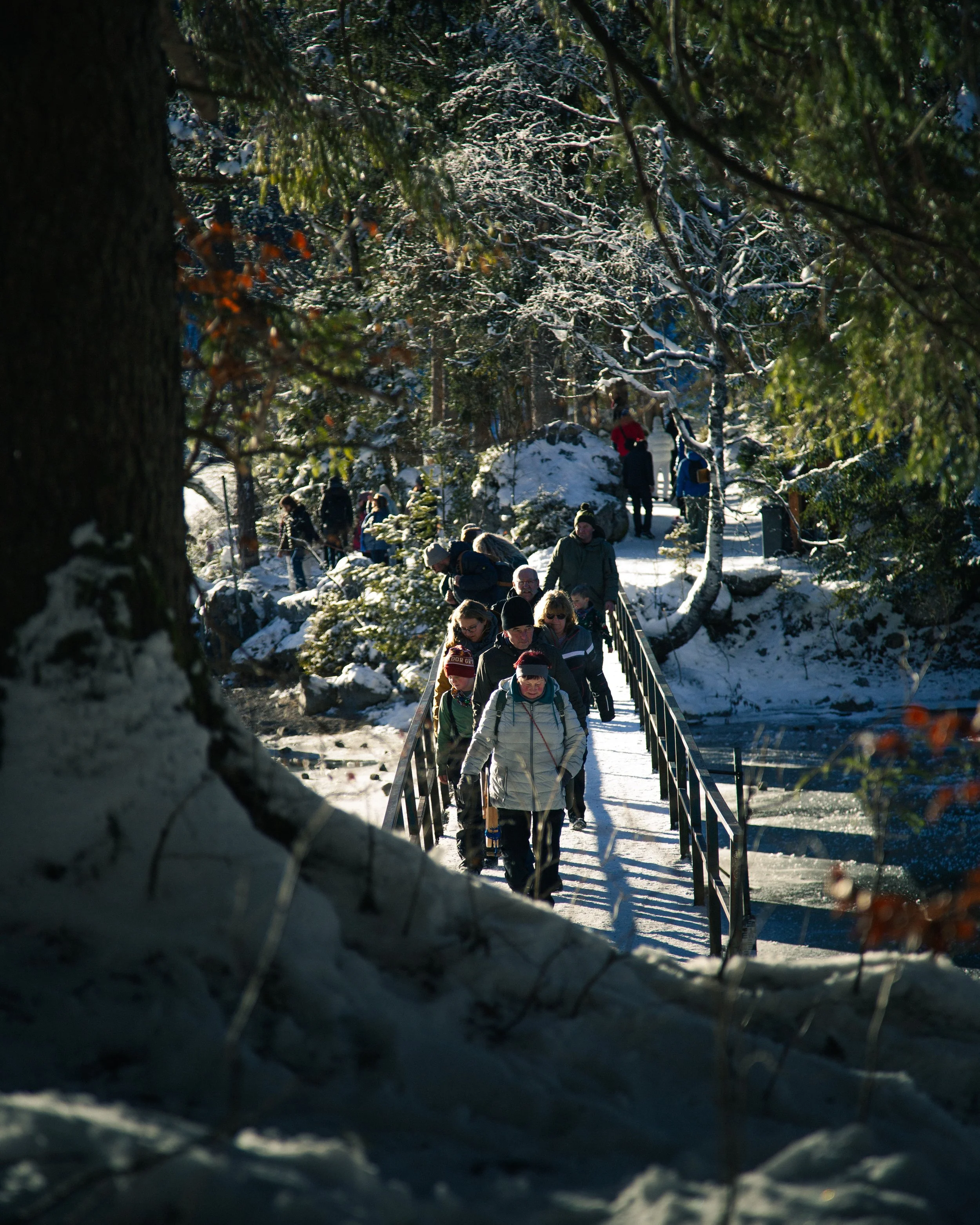 Eibsee Bridge.jpg