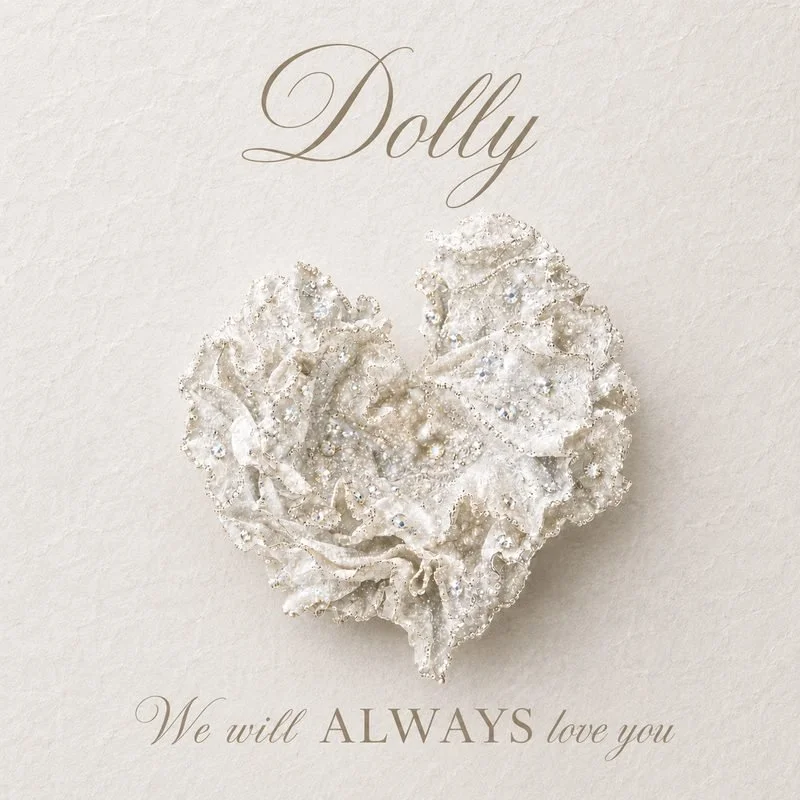 800 by 800 dolly.jpg