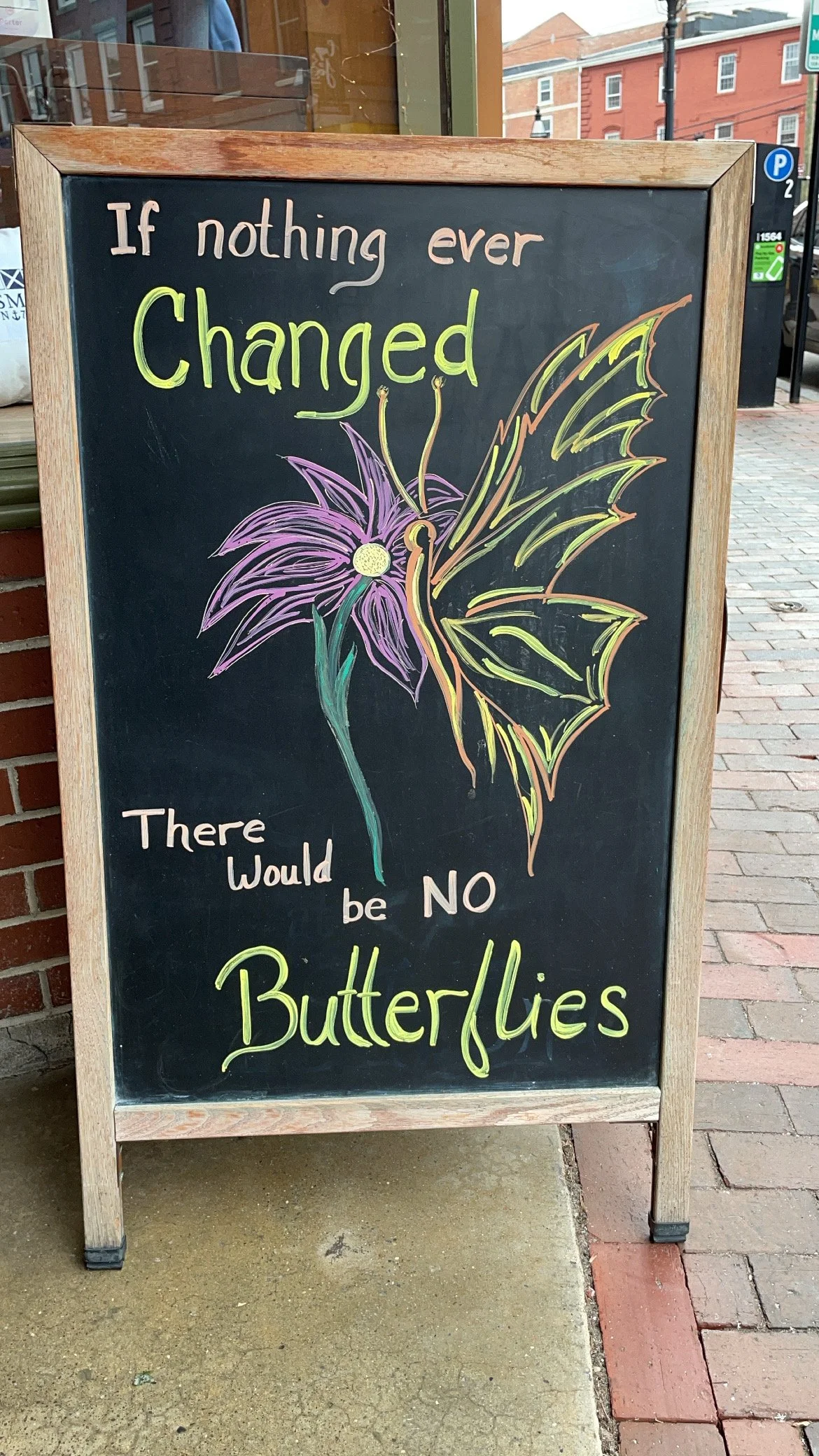 The Goo Stage: The Messy Middle of Becoming