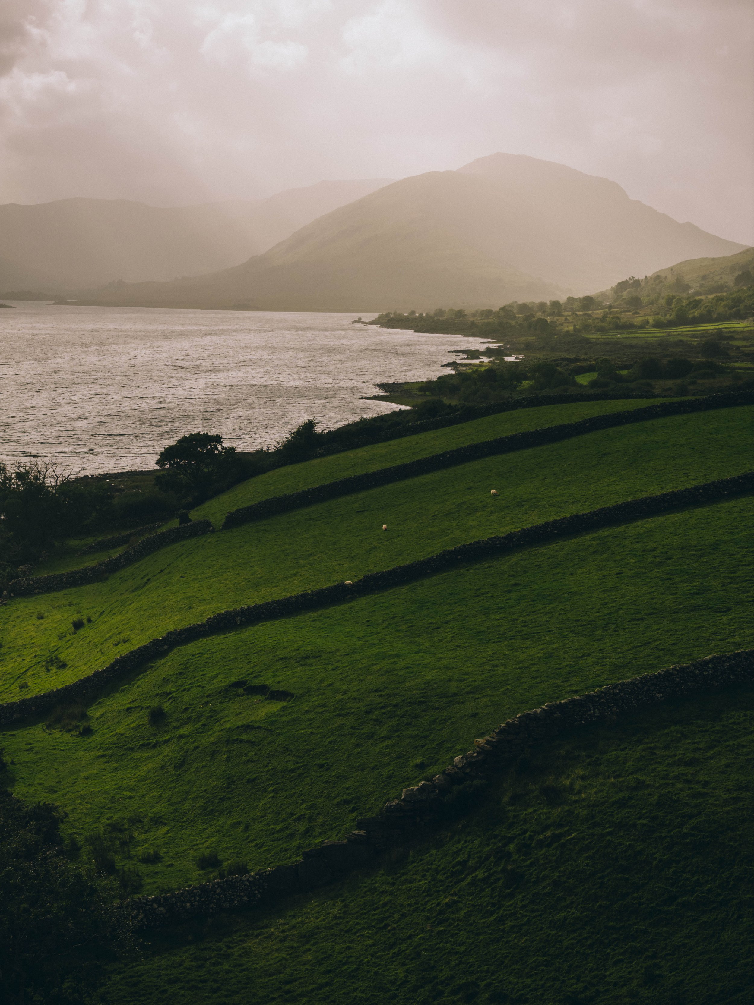 DJI_20260917095727_0392_D.jpg