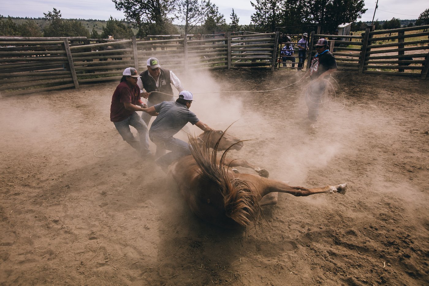 WILDHORSE_WARM_DAY1_725.jpg