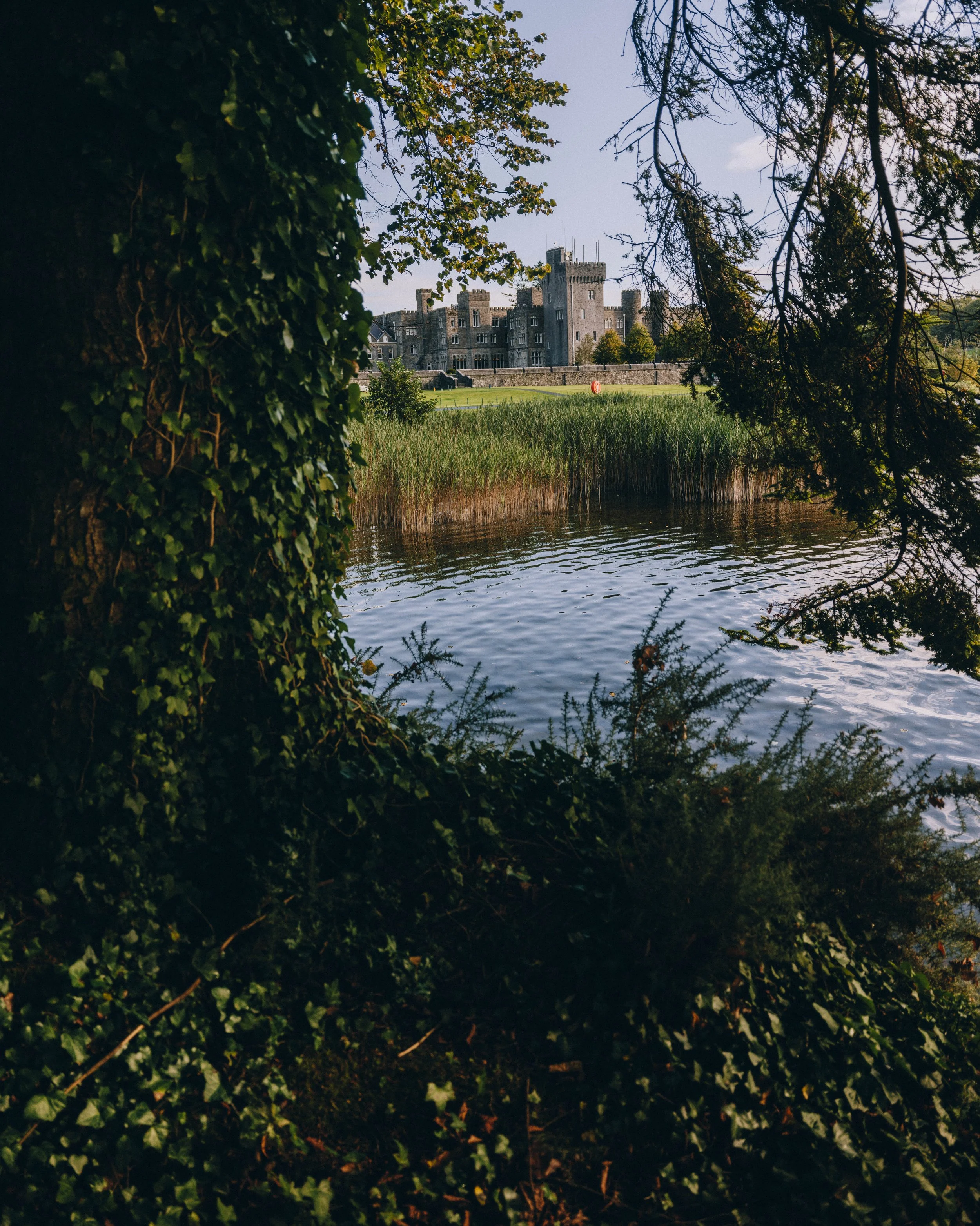 DSCF4618.jpg