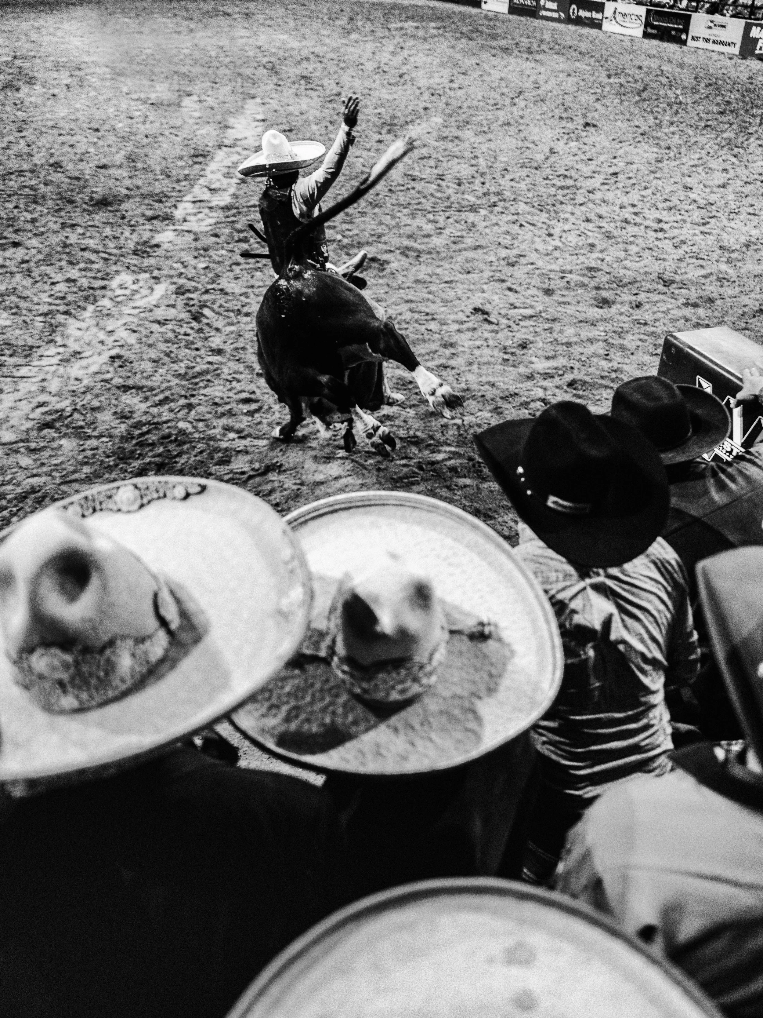 ACP_5280_MEXICANRODEO_3525-2.jpg