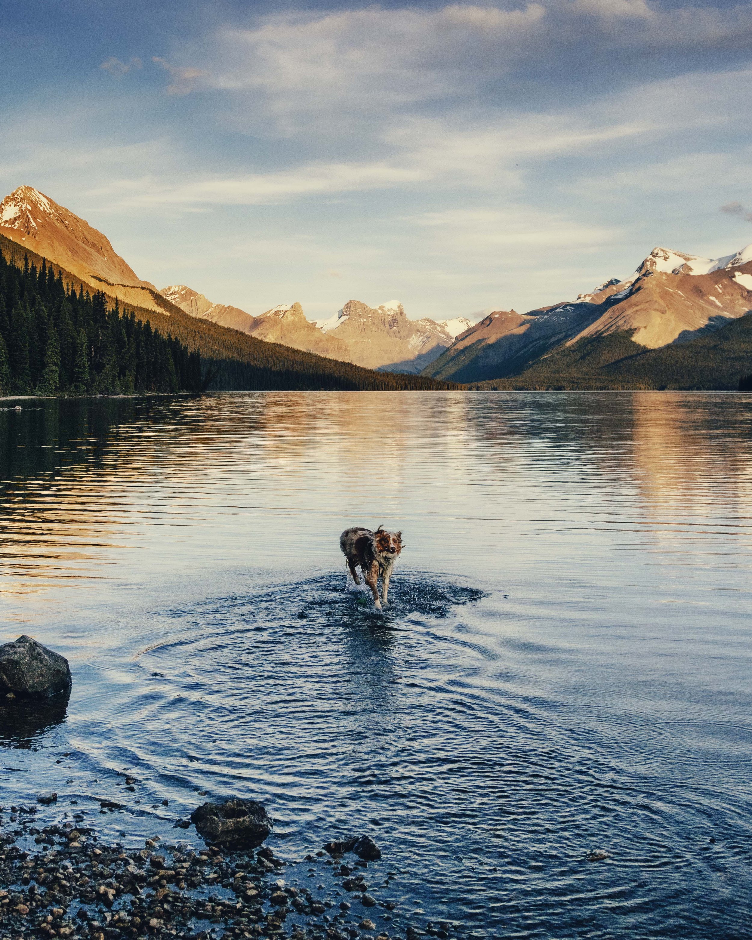 ALASKATRIP_2016_JASPER_030.jpg