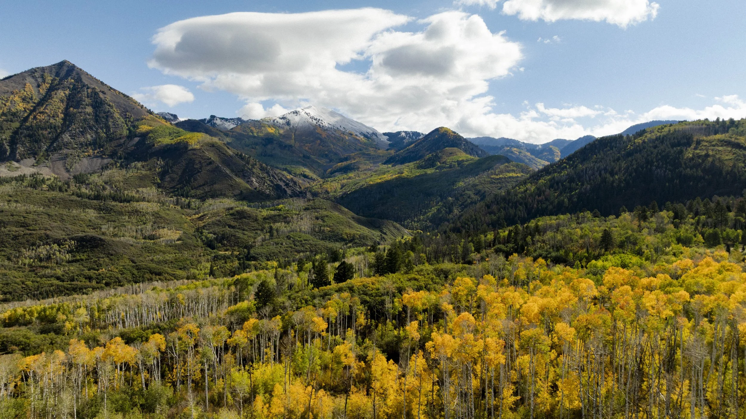 ACP_SFR_FALL22_0874.jpg