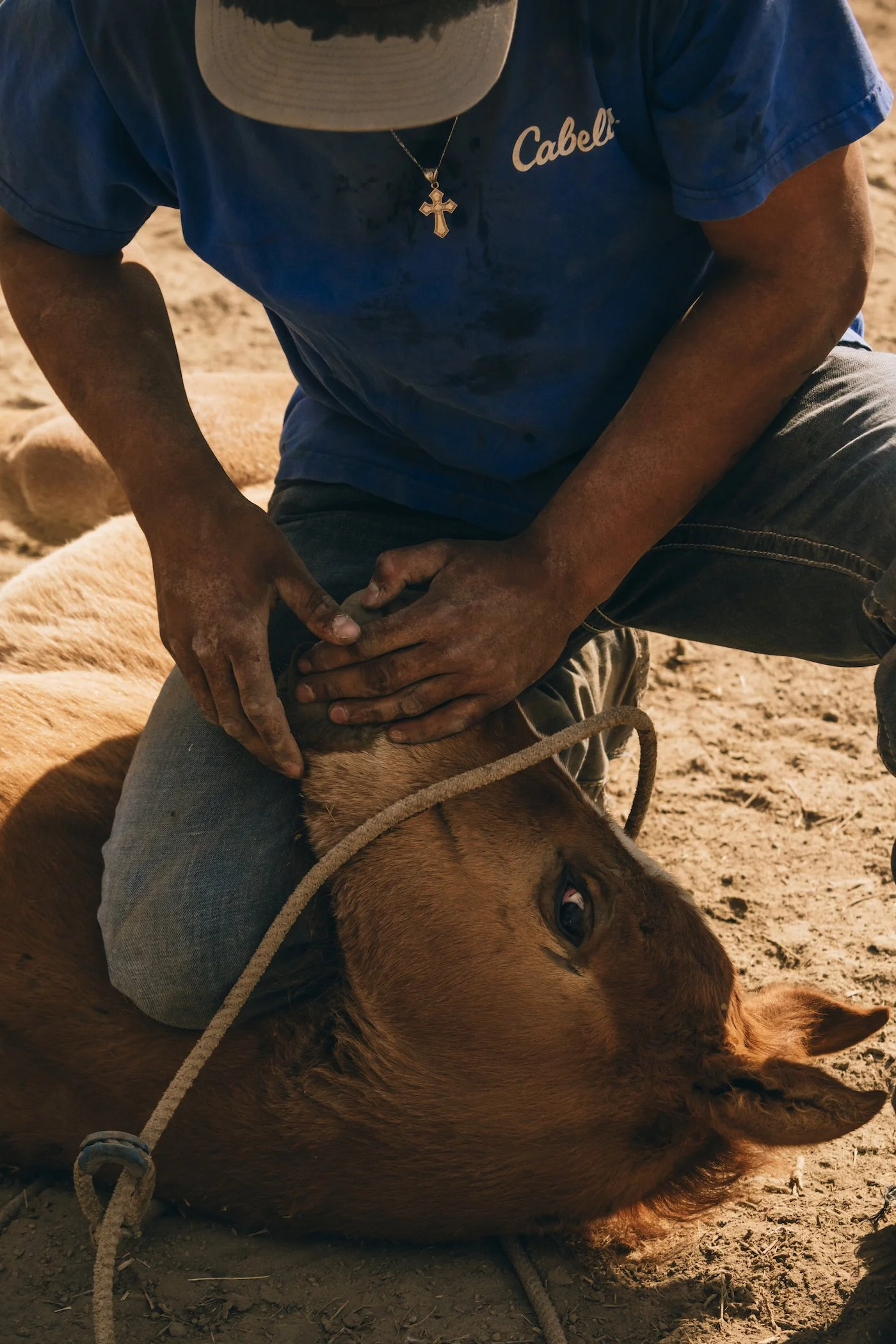 WILDHORSE_WARM_DAY2_341.jpg