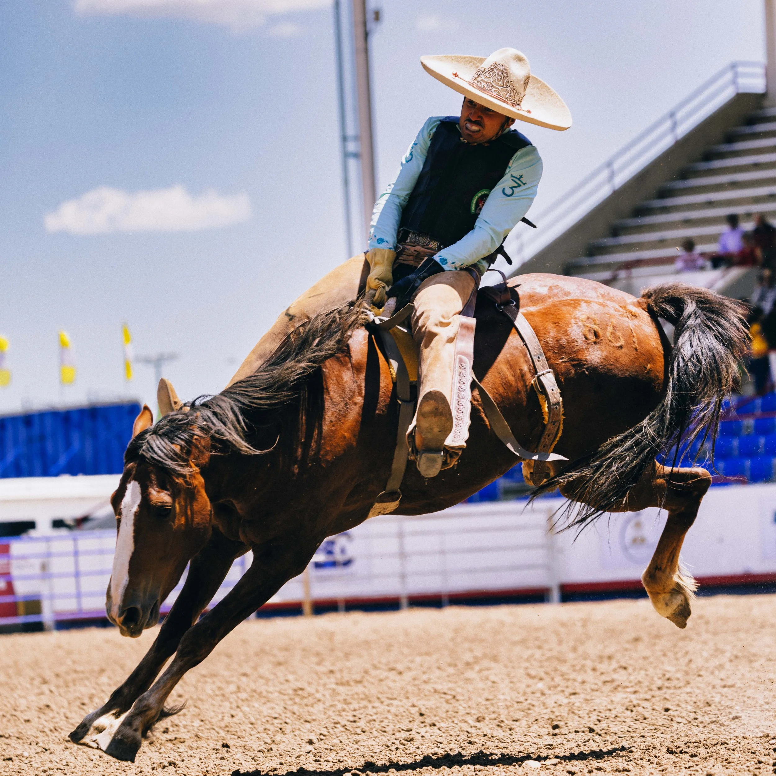 ACP_5280_STAMPEDE_1733.jpg