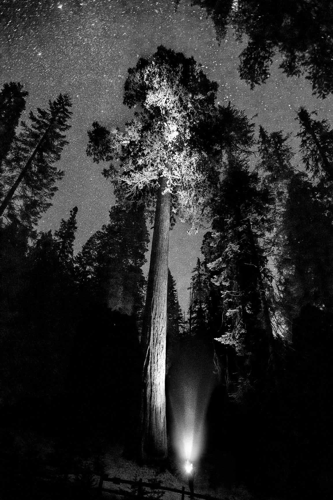 17_20170419172035_7062346_xlarge.jpg