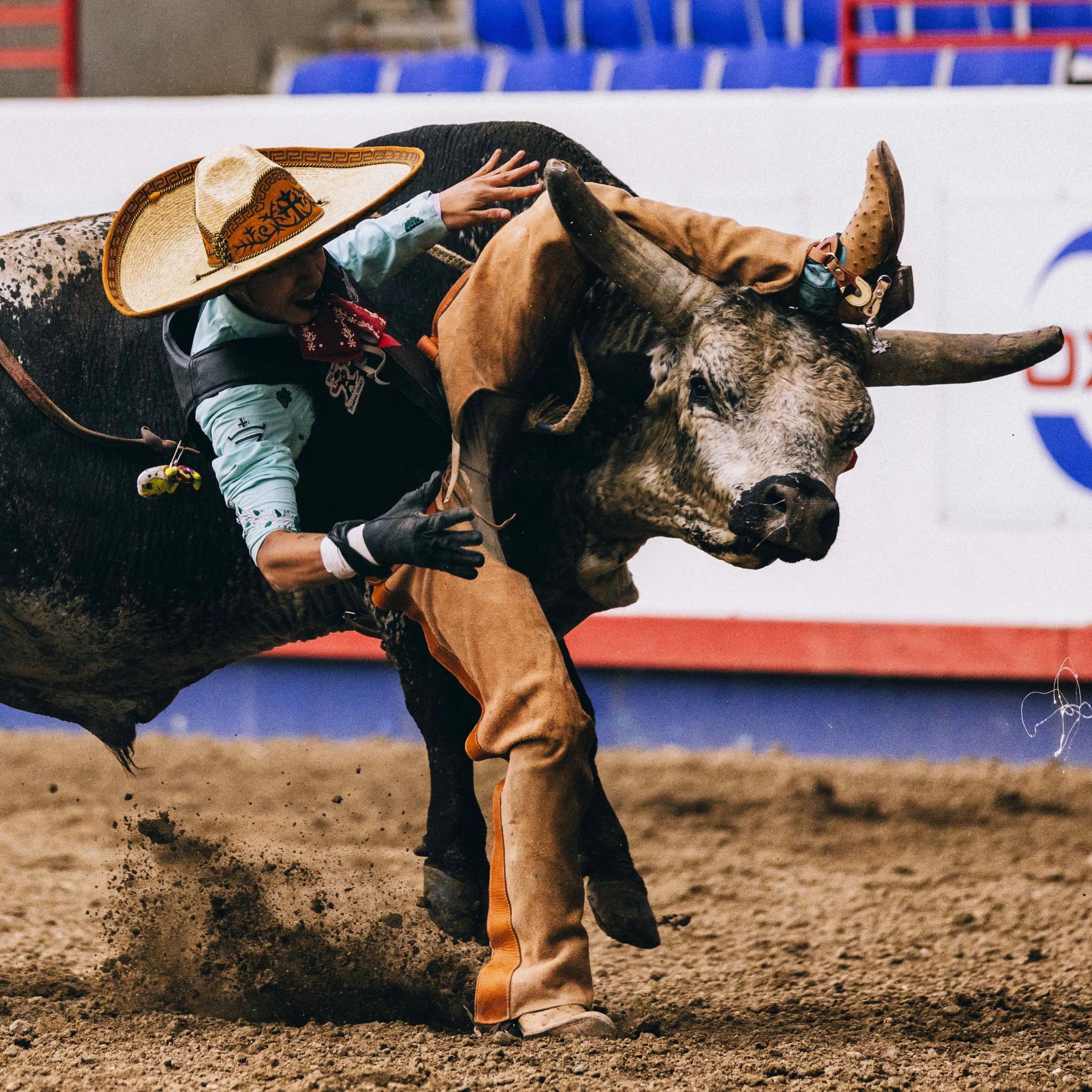 ACP_5280_STAMPEDE_3412.jpg