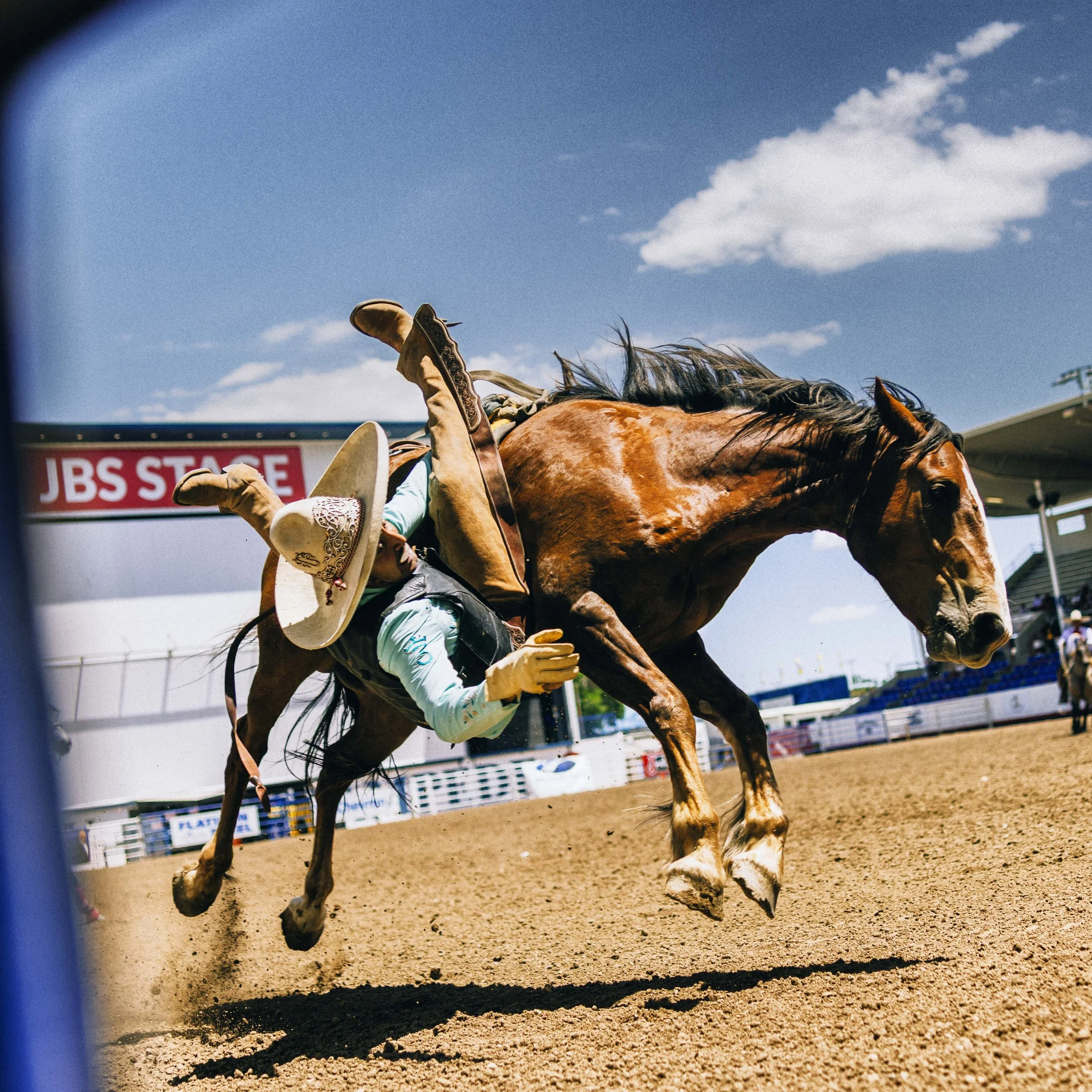ACP_5280_STAMPEDE_1735.jpg