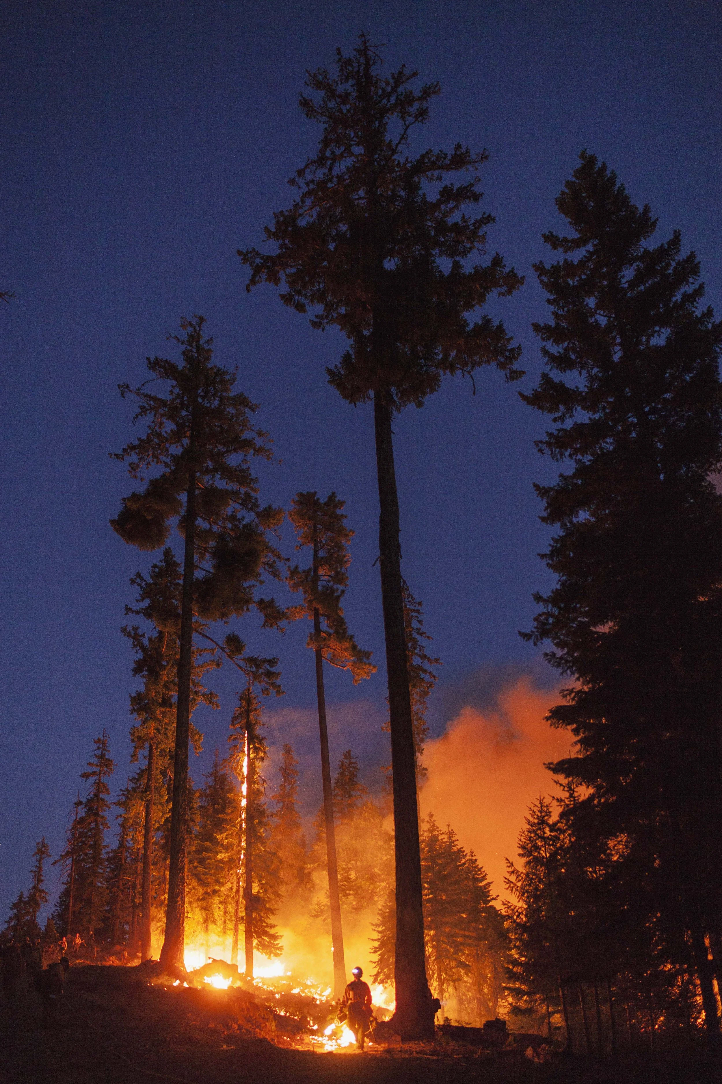 ACP_FIRE_0016.jpg