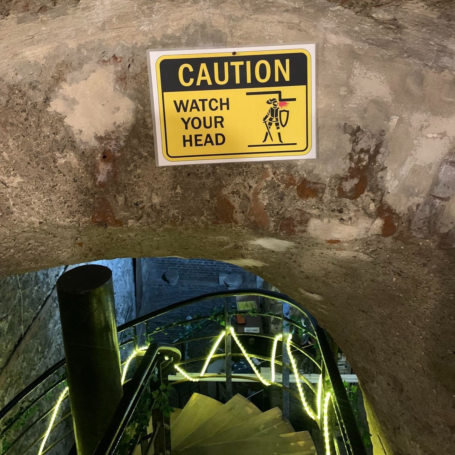 356983785_250965951034662_9074762619978842664_n.jpg