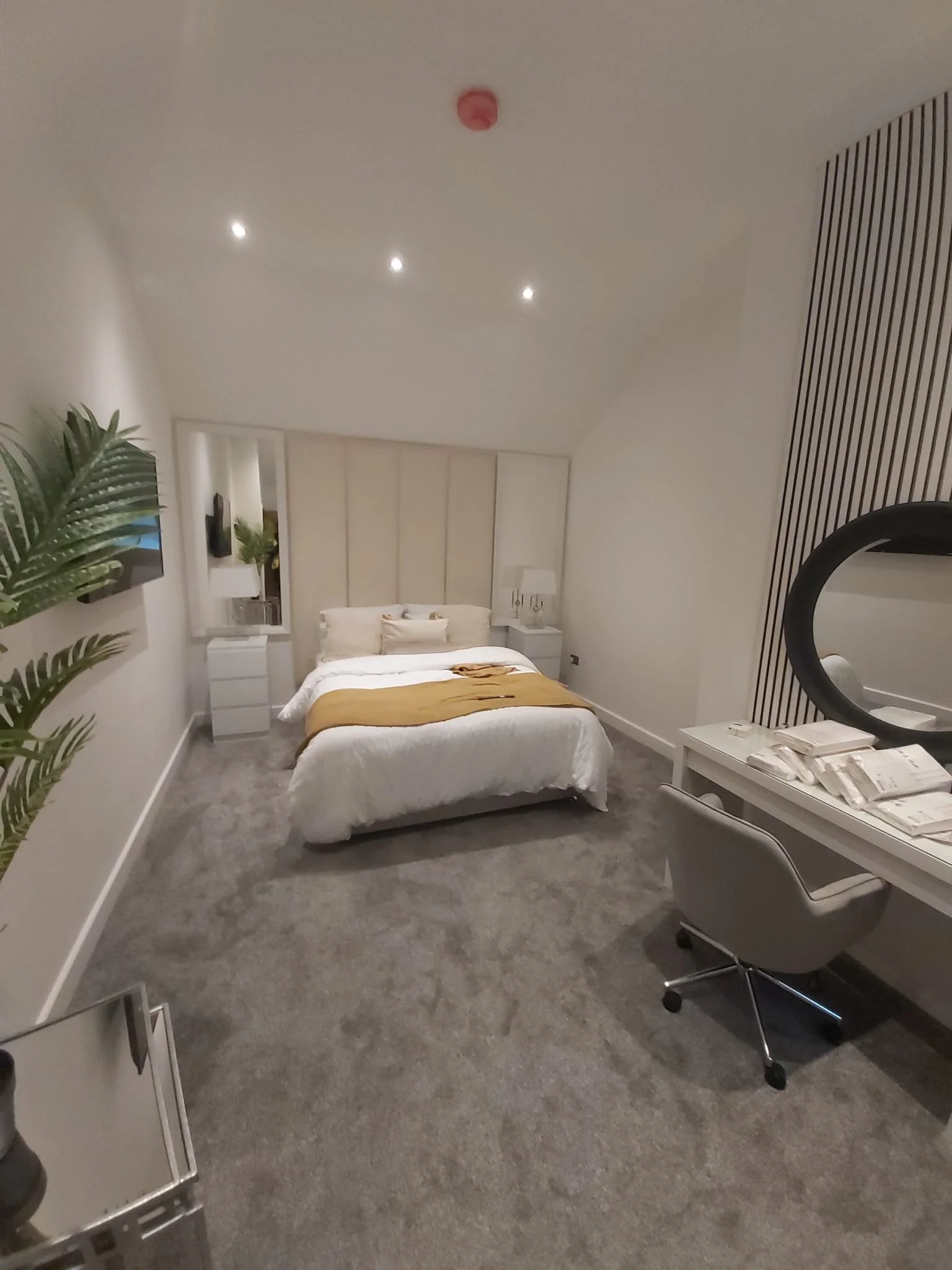 VKSB-South_Street-2024-04-28 at 16.10.12.jpeg