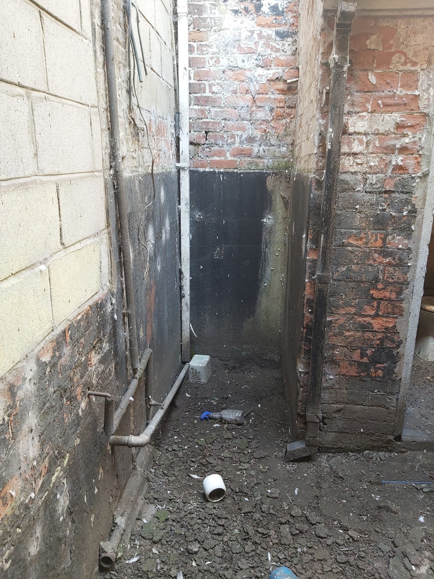 VKSB-South_Street-2024-04-28 at 15.48.54.jpeg