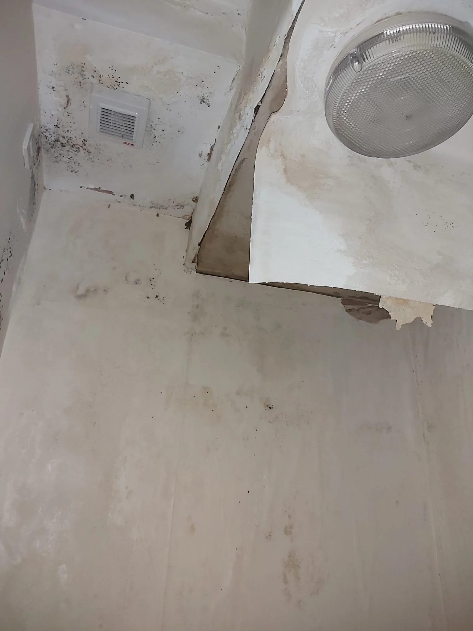 VKSB-Parliament_Street-2024-04-28 at 08.18.39 (2).jpeg