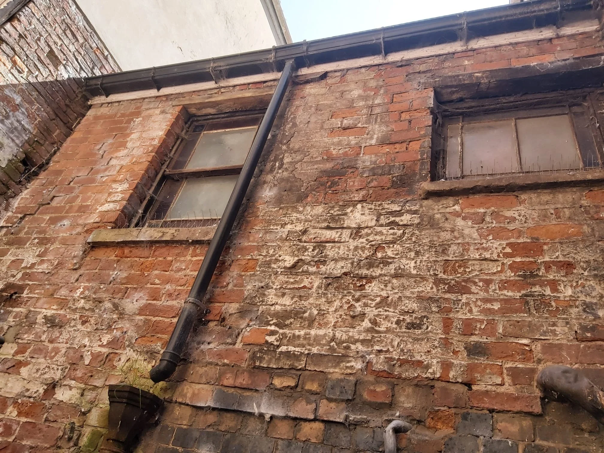 VKSB-South_Street-2024-04-28 at 15.48.54 (3).jpeg