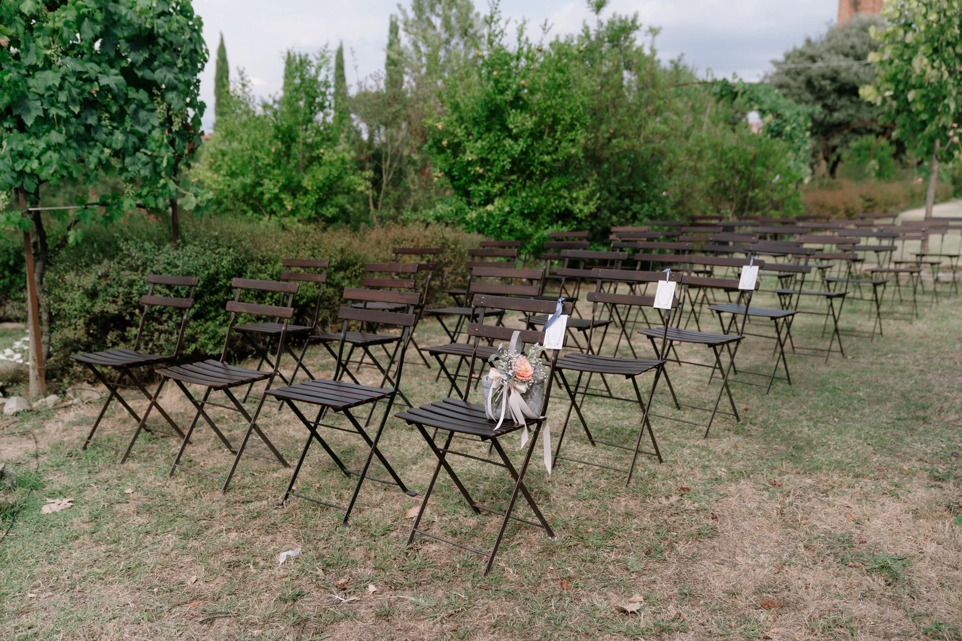 GMF04290.jpg