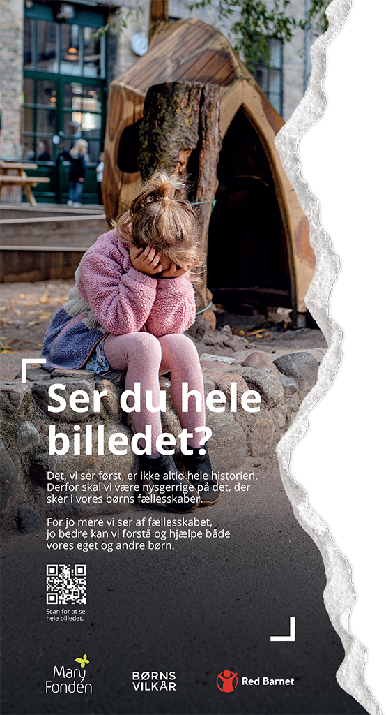 Ser du hele billedet?