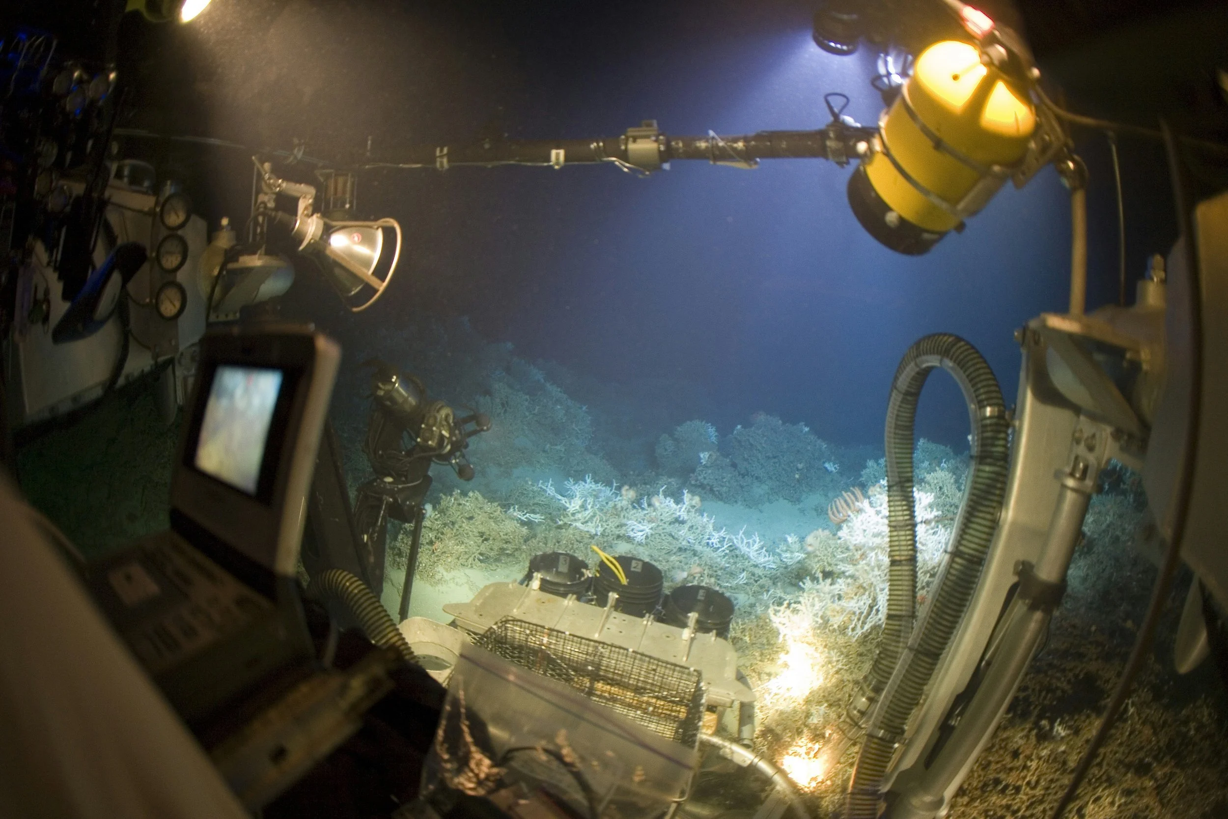 Fjernstyrt undervassrobot (ROV) med lys og gripearm på havbotnen