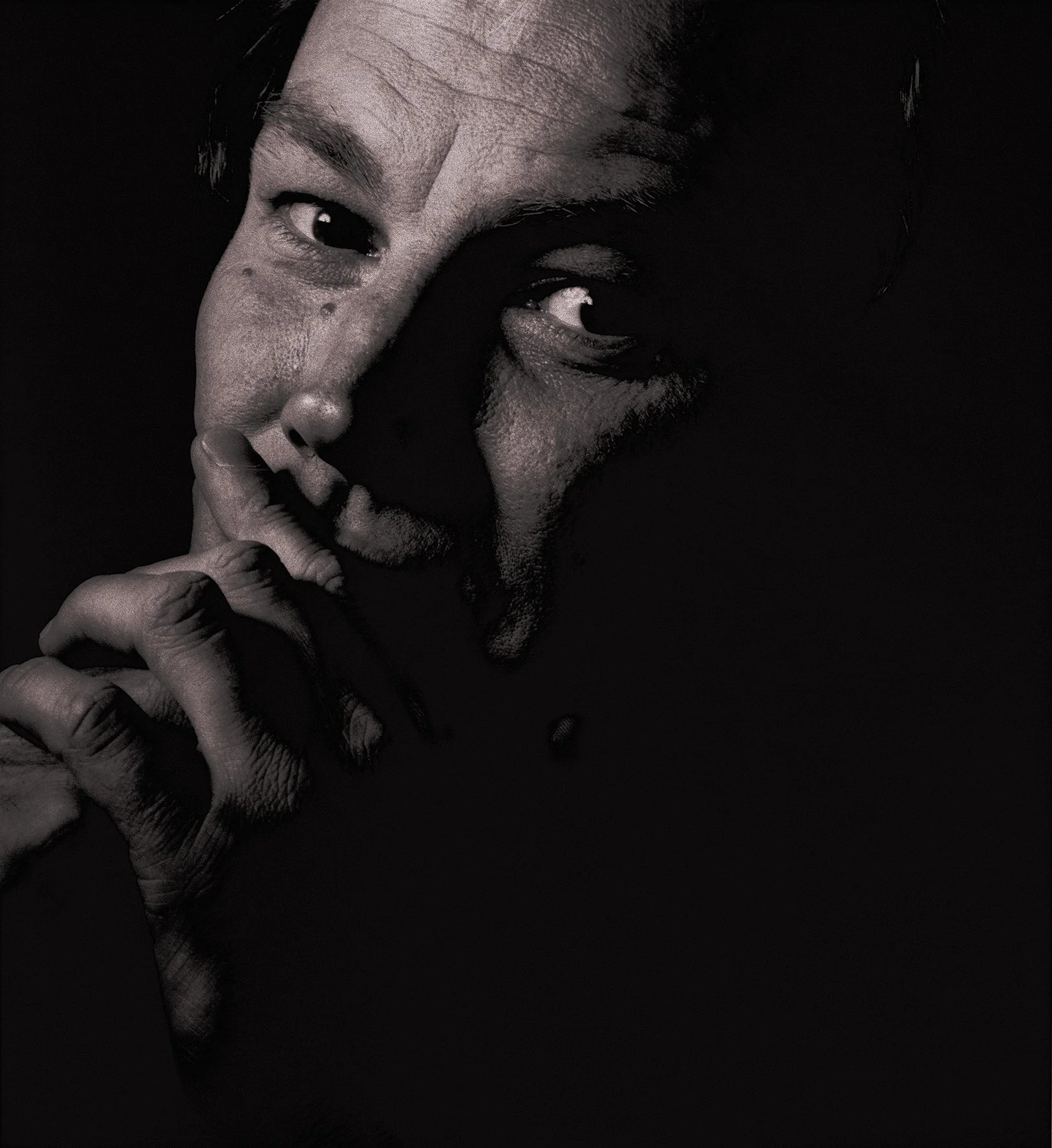 Klaus Brandauer, Actor, Salzburg