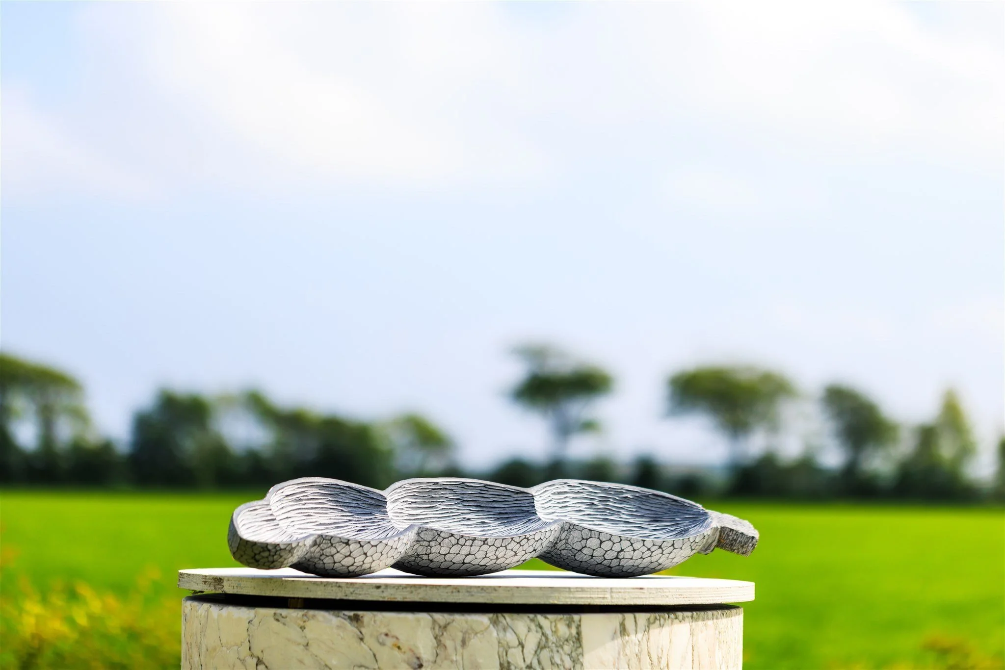 Three metallic, shell-shaped objects on a wooden surface outdoors with a green field and trees in the background.