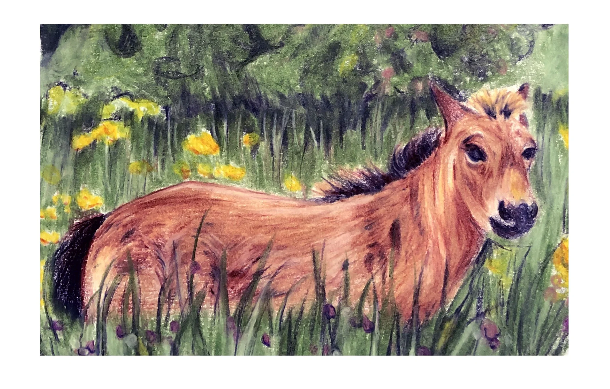 horseinchristchurchcropped.jpg