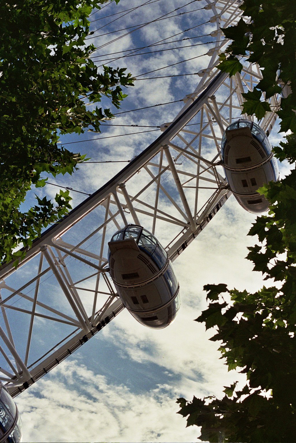 __8_0479.jpg