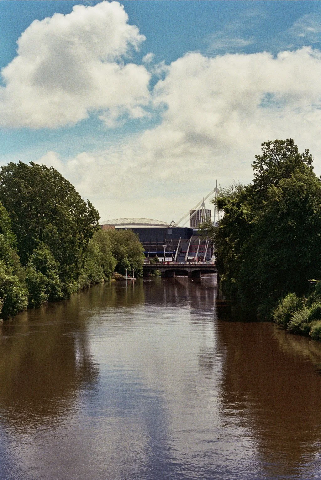 Image_07.jpg