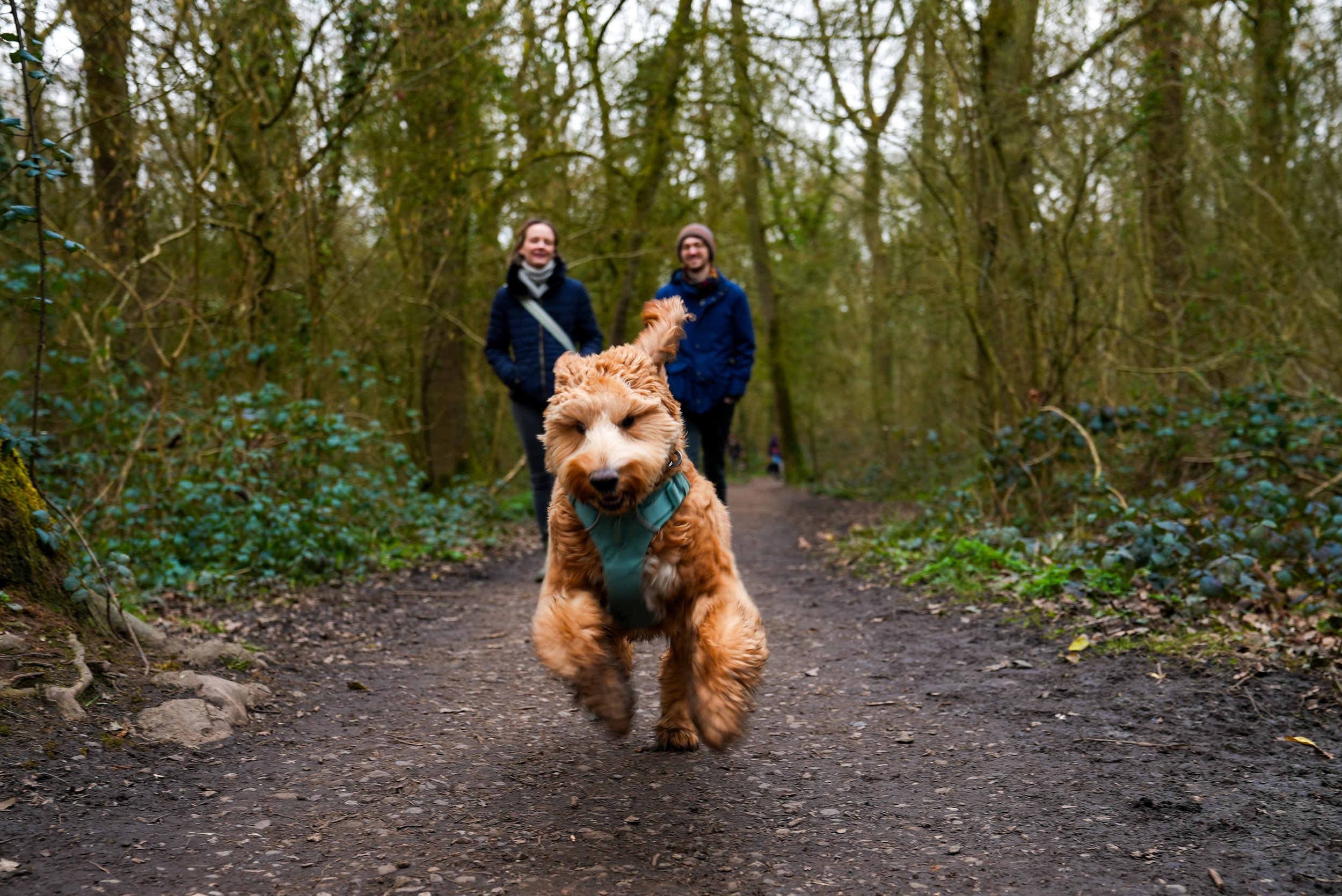 Lambeau Edited-12.jpg