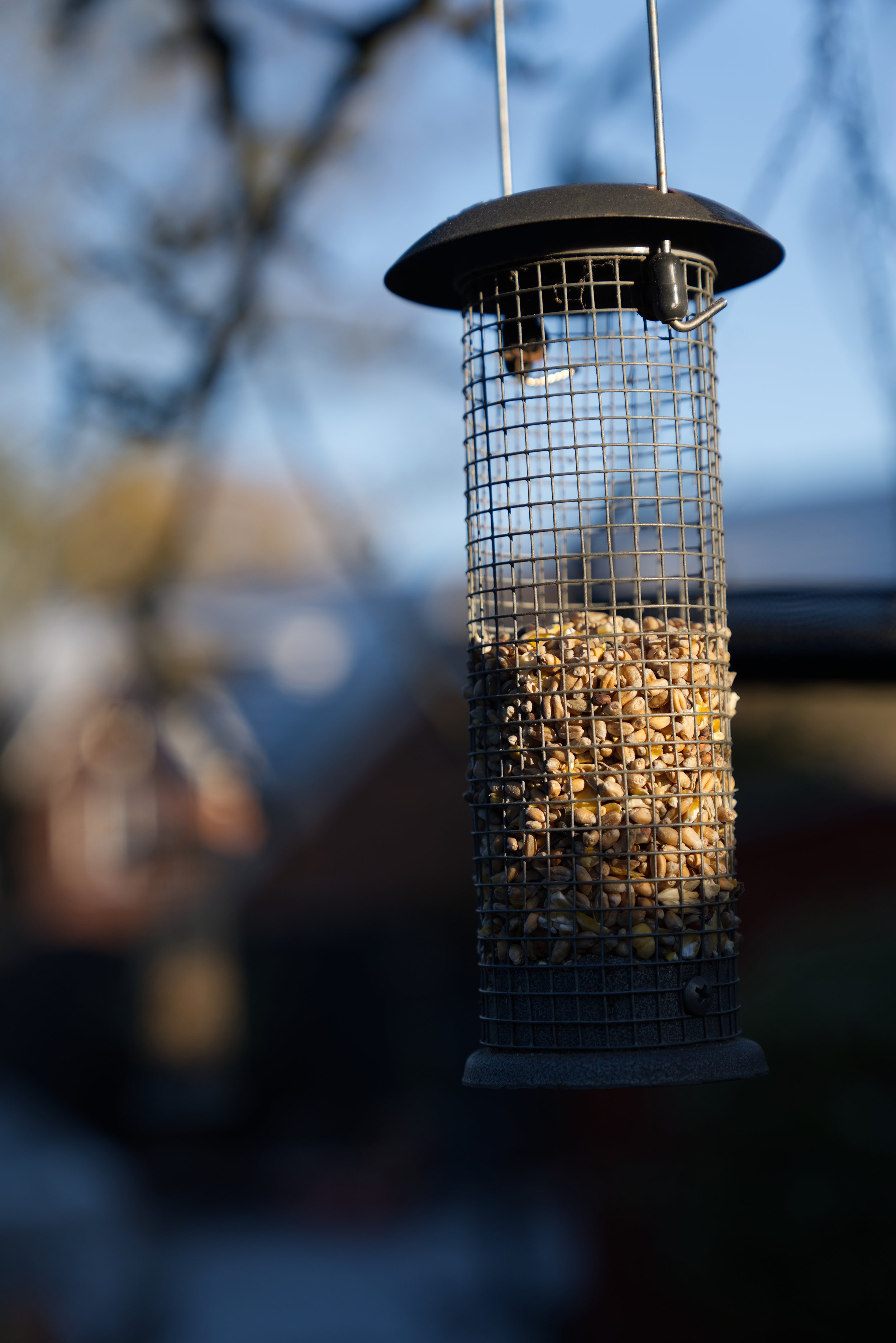Close-up of a bird feeder filled with birdseed hanging outdoors against a blurred background of trees and sky.