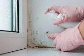 Damp and Mould in Homes: How Rising Energy Costs Can Tip the Balance