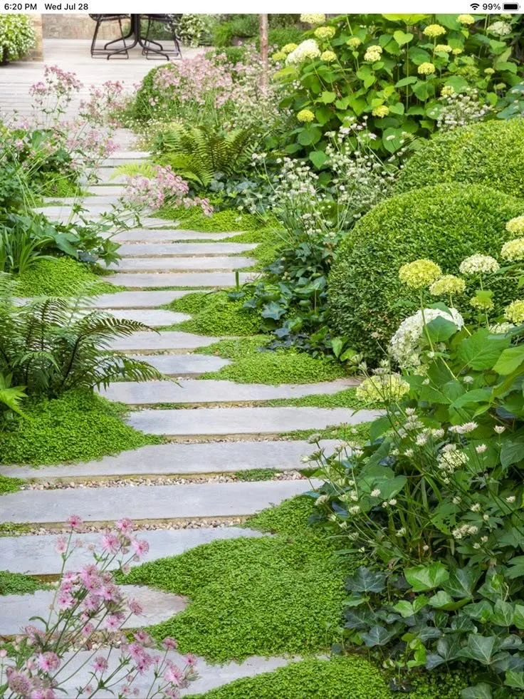 A garden pathway with stone slabs surrounded by lush green plants and colorful flowers.