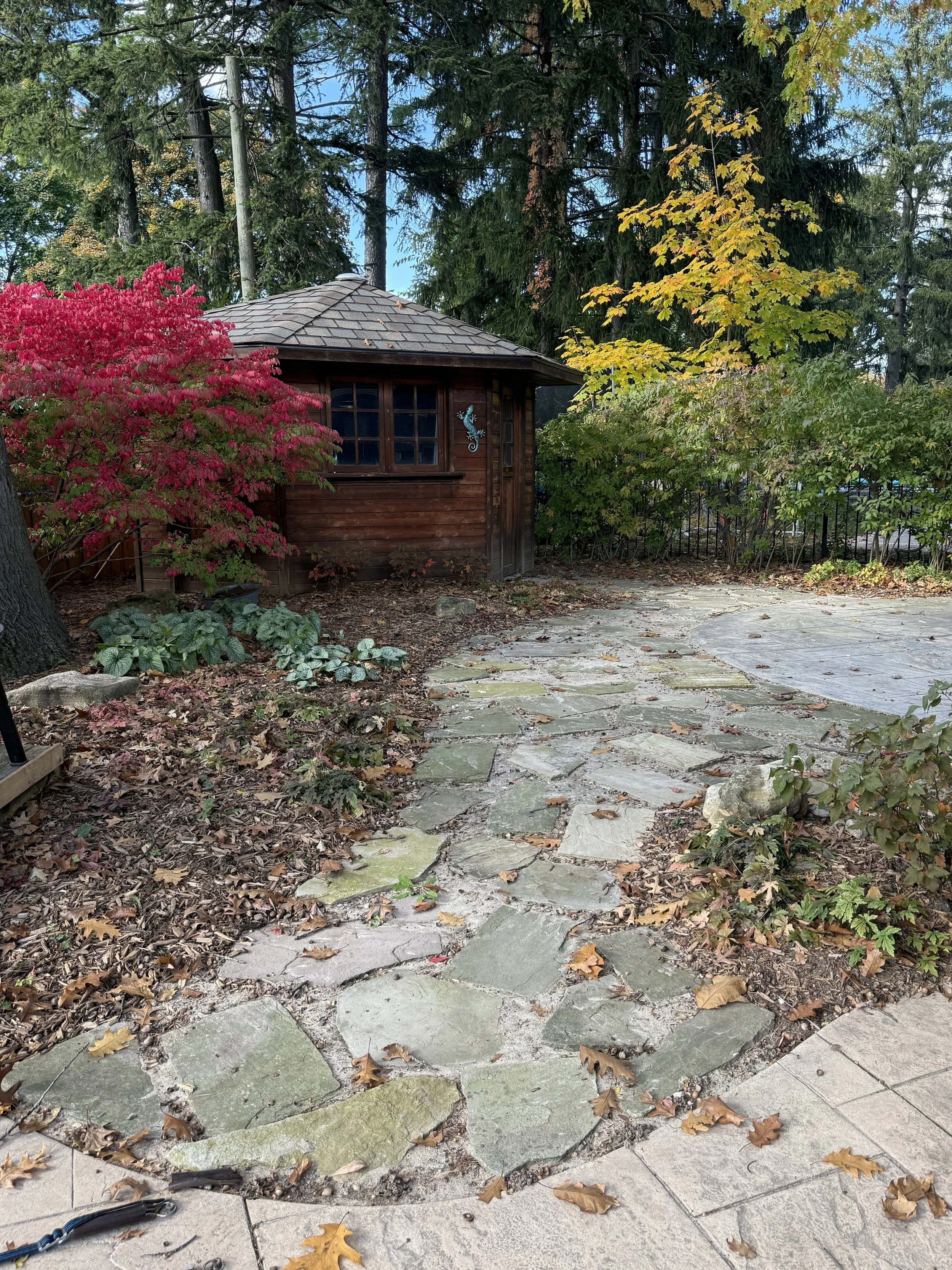 Pathway in fall.jpeg