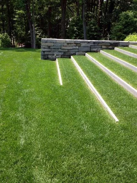 Summer Lawn Care in Toronto between July and August
