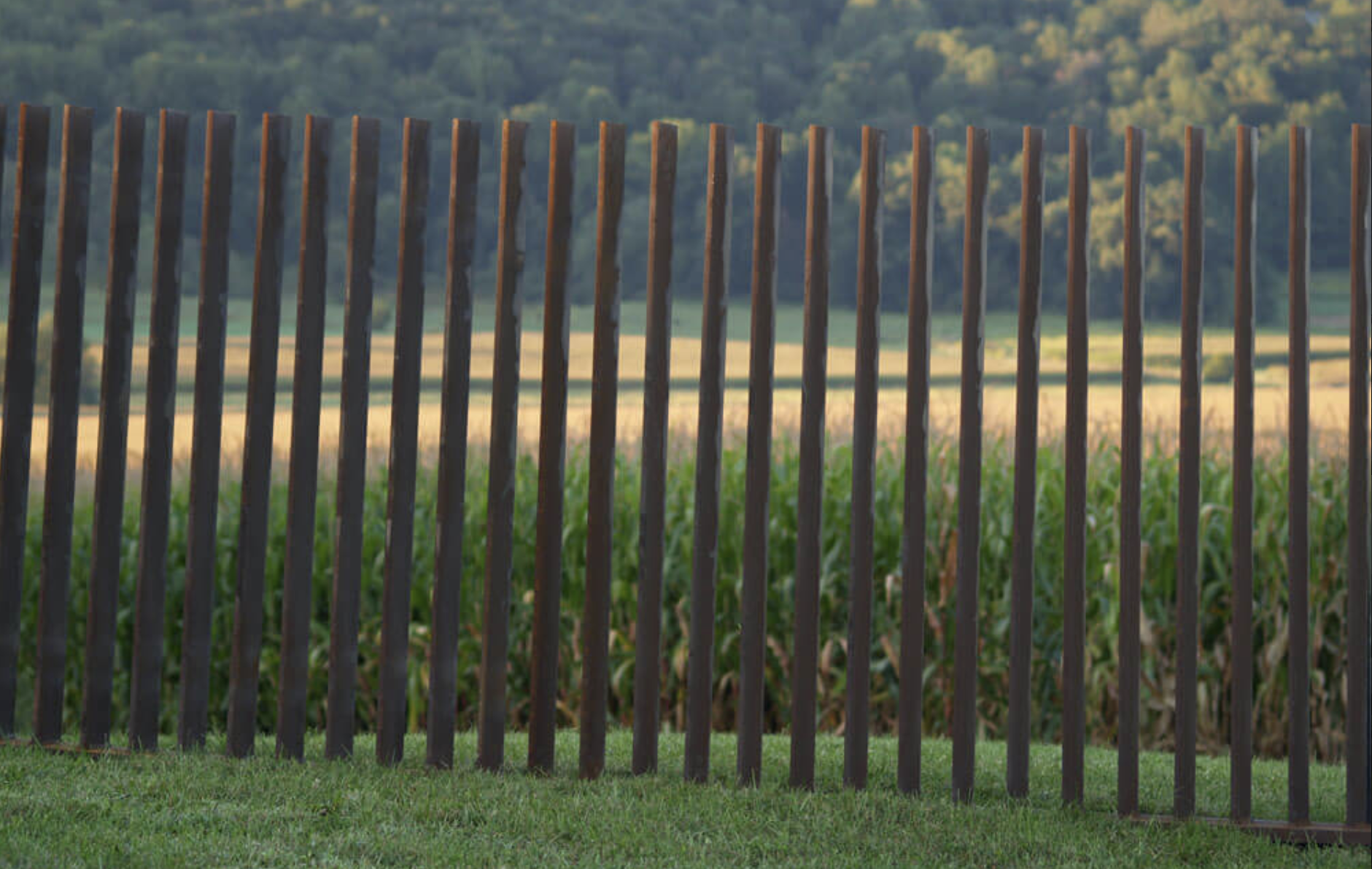 Modern vertical slat fence providing privacy and safety as part of a Toronto backyard landscaping project.