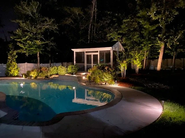 Curved swimming pool with natural stone coping, landscape lighting, and lush planting, showcasing premium backyard hardscape design in Toronto.