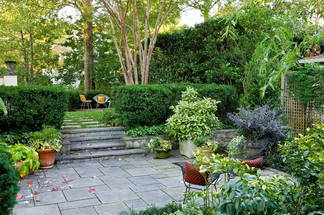 Stone garden steps framed by hedges and layered planting in a private backyard retreat