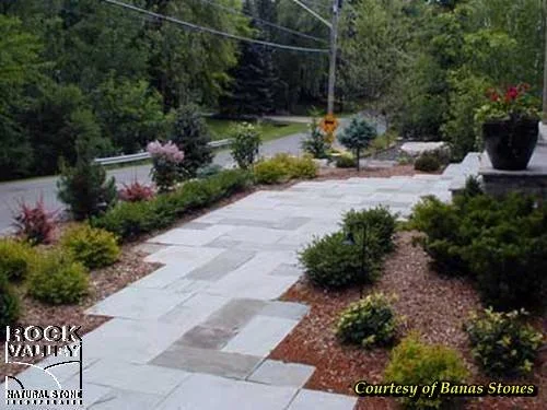 Modern stone walkway with clean lines surrounded by structured shrubs and planting beds