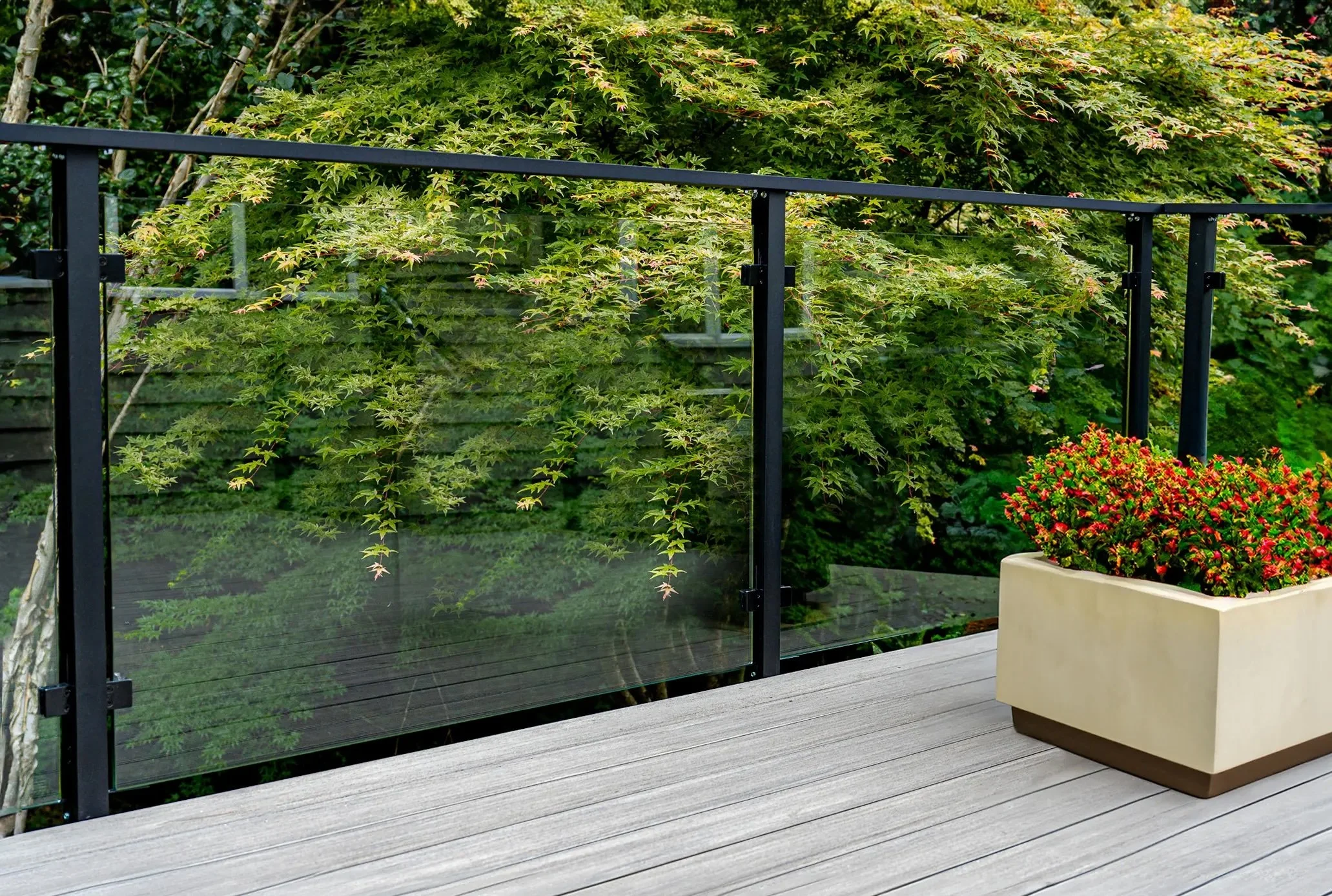 Modern composite deck with black framed glass railing and lush green privacy hedge backdrop.