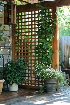 d29b5c7333de4de9c44dd666c580e5c4.jpg