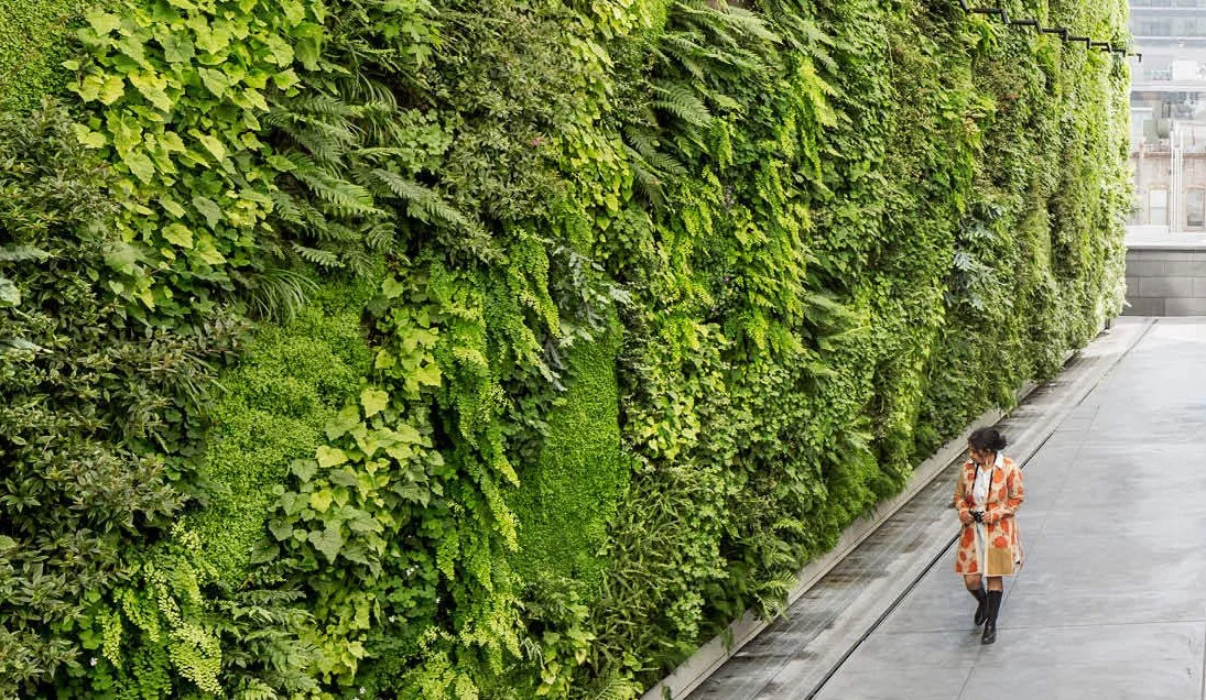 1509932138729sfmoma_living_wall_overhead-3.jpg